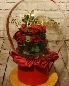 Red roses and eucalyptus encased with a clear balloon